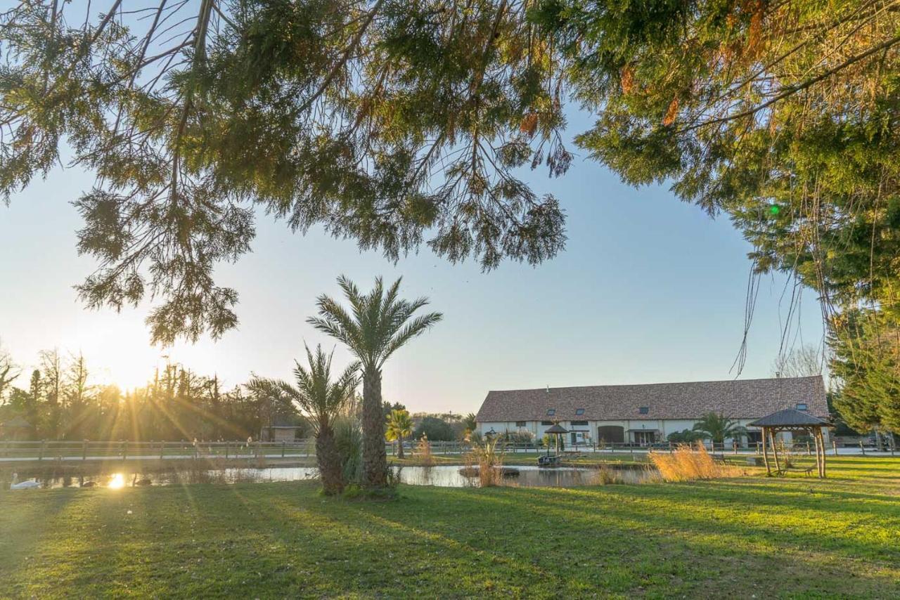 Abri Cosy - Suite Romantique En Camargue Сен-Жиль Екстер'єр фото