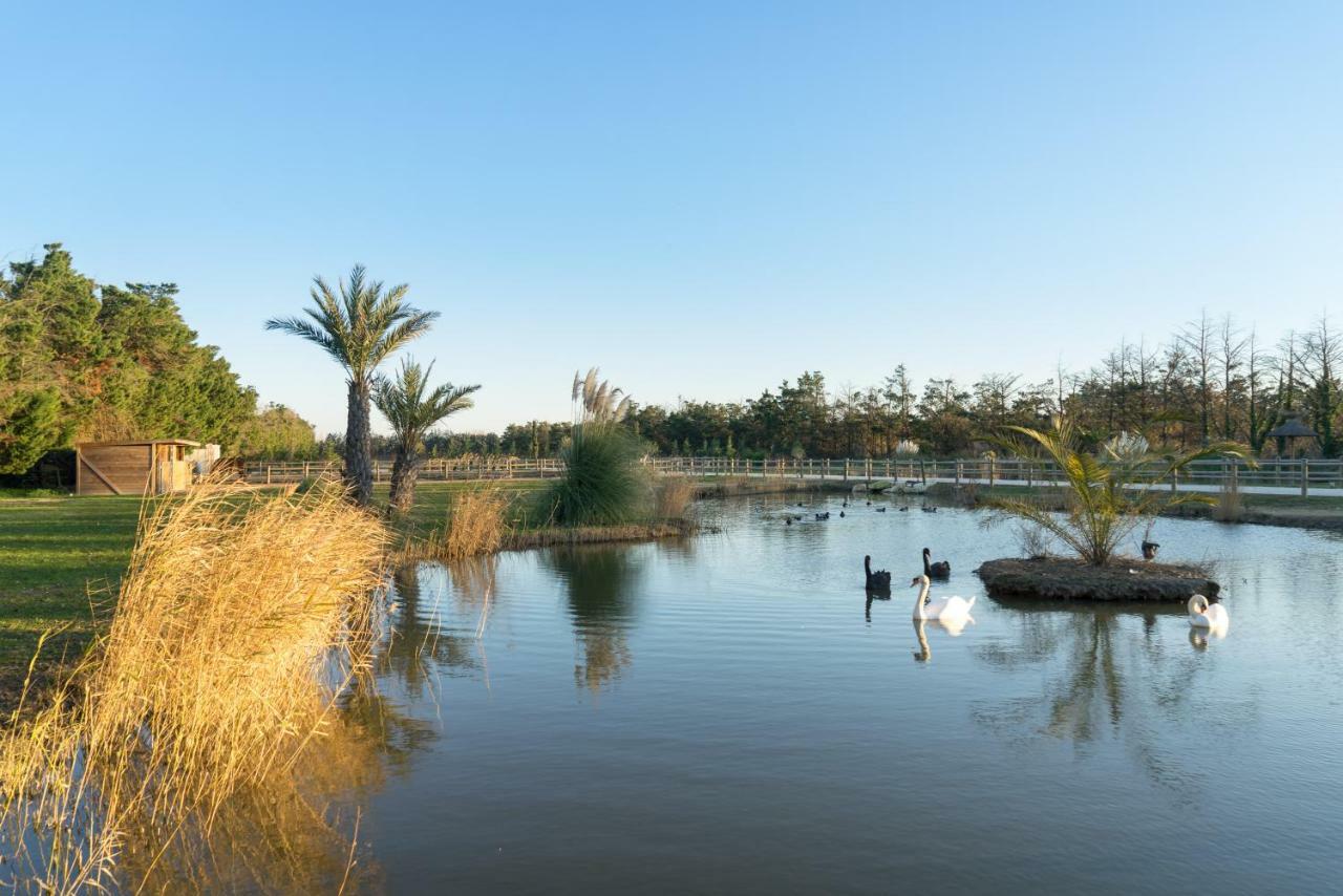 Abri Cosy - Suite Romantique En Camargue Сен-Жиль Екстер'єр фото